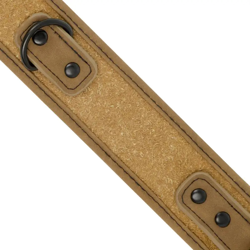 Fetish submissive origen - collar con cadena con forro