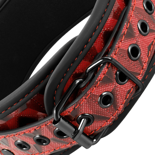 Begme - red edition collar con cadenas y pinzas pezones