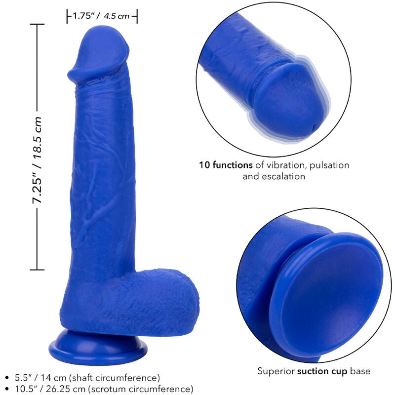 Calexotics - admiral captain dildo realístico vibrador azul
