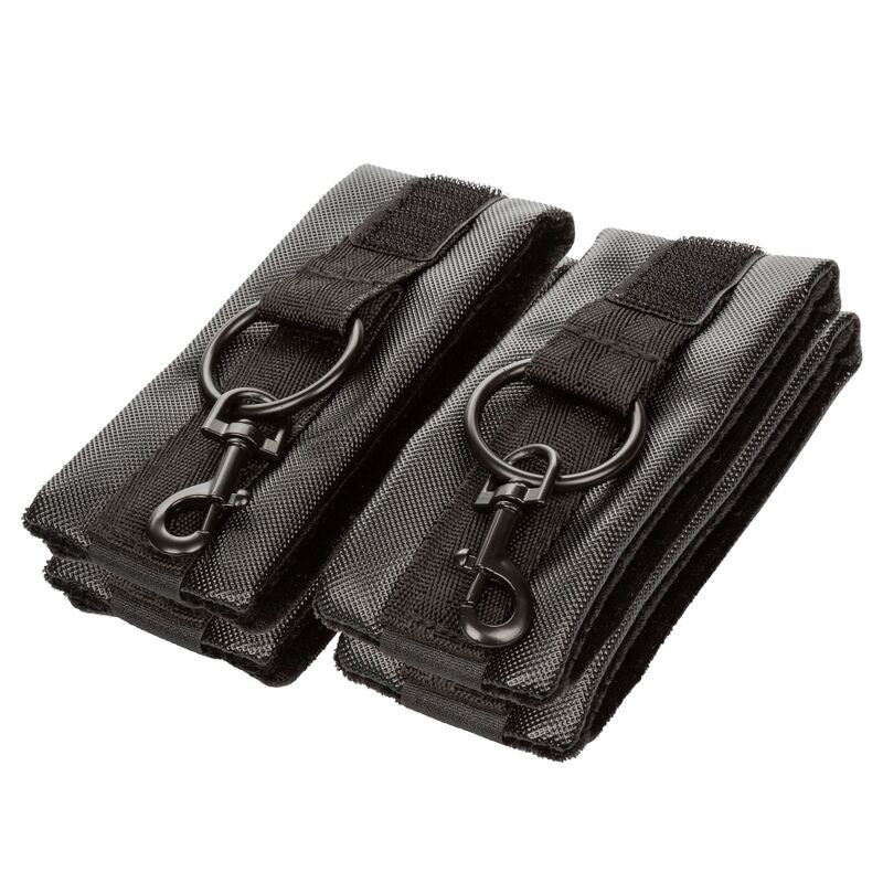 Calexotics - boundless hog tie