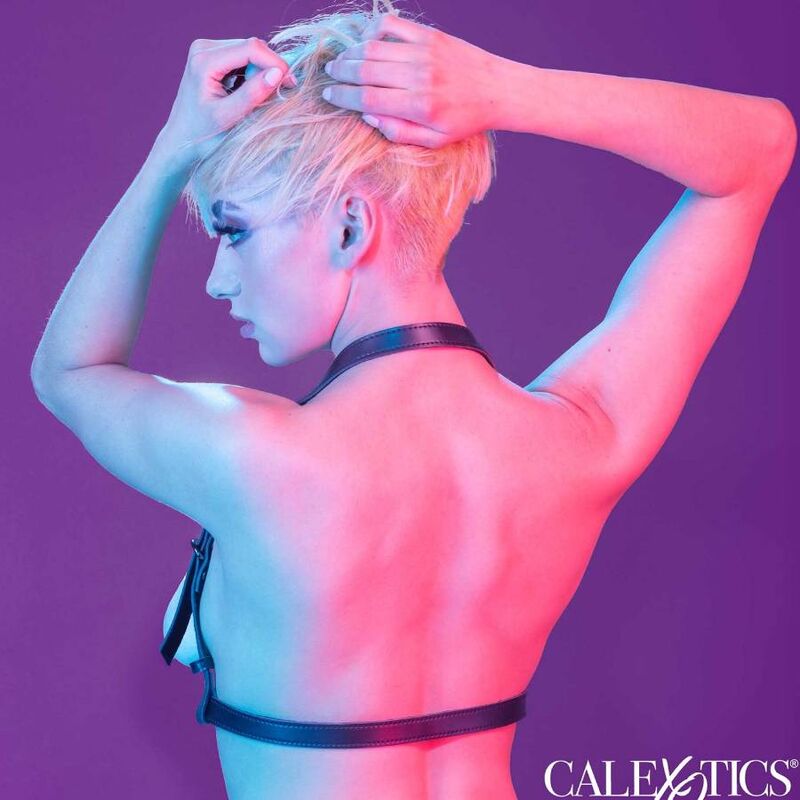 Calexotics - euphoria arnés hatler con hebilla negro