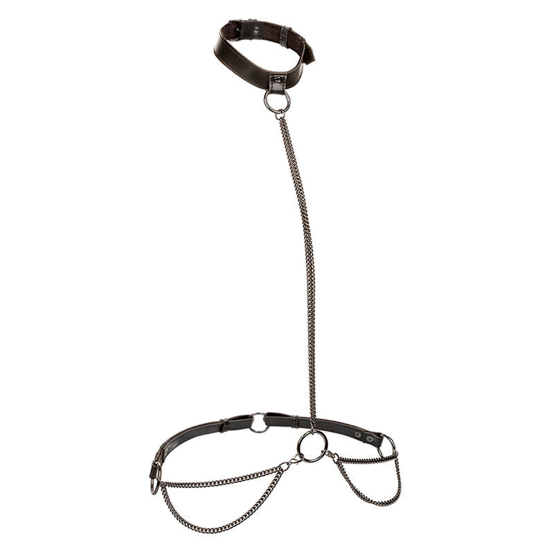 Calexotics - euphoria collar halter y correa con cadena