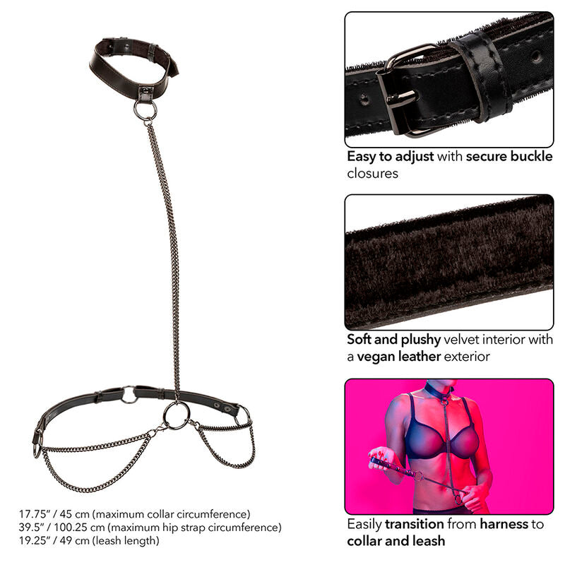 Calexotics - euphoria collar halter y correa con cadena