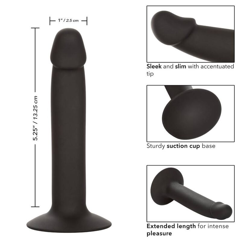 Calexotics - slim anal stud