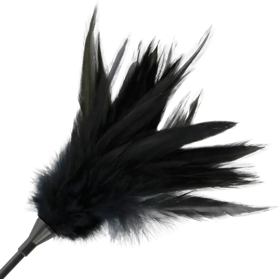 Darkness - fusta con pluma negro
