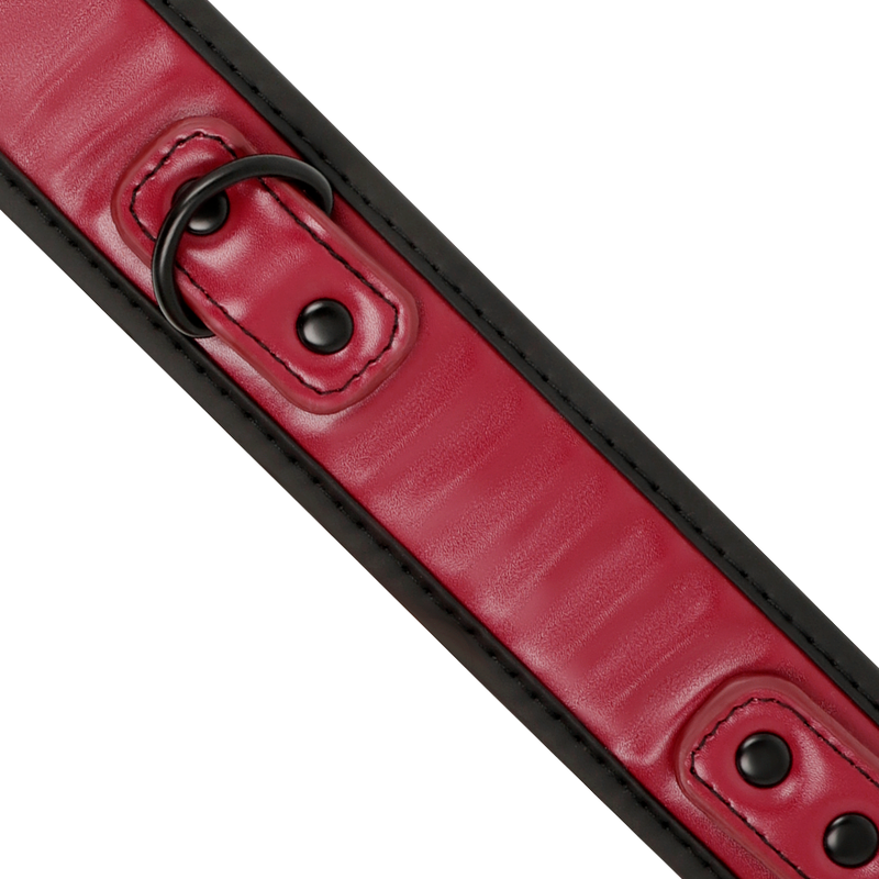 Fetish submissive dark room - collar con cadena con forro
