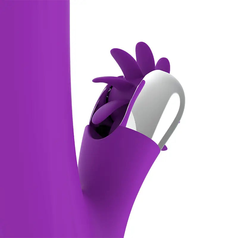 Fun function - bunny funny rotation 2.0