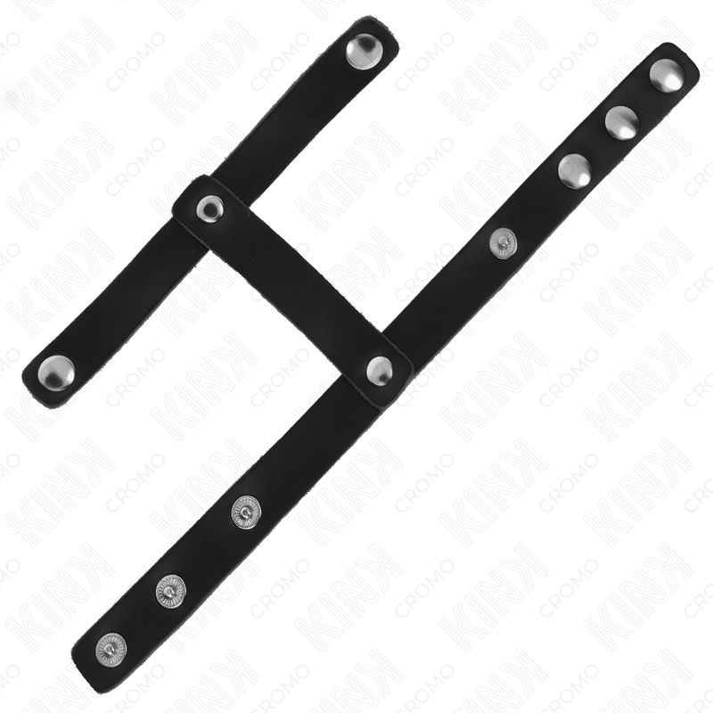 Kink - anillo pene y correa divisora de bolas cuero