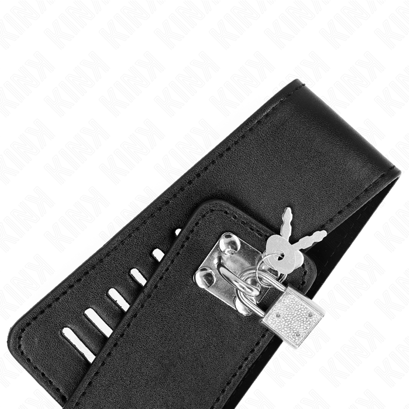 Kink - collar con correa 116 cm modelo 2 ajustable 36-43 cm