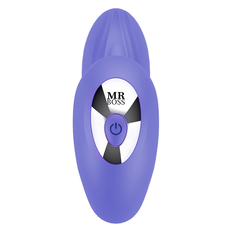Mr boss - josef pulsation & vibration control remoto