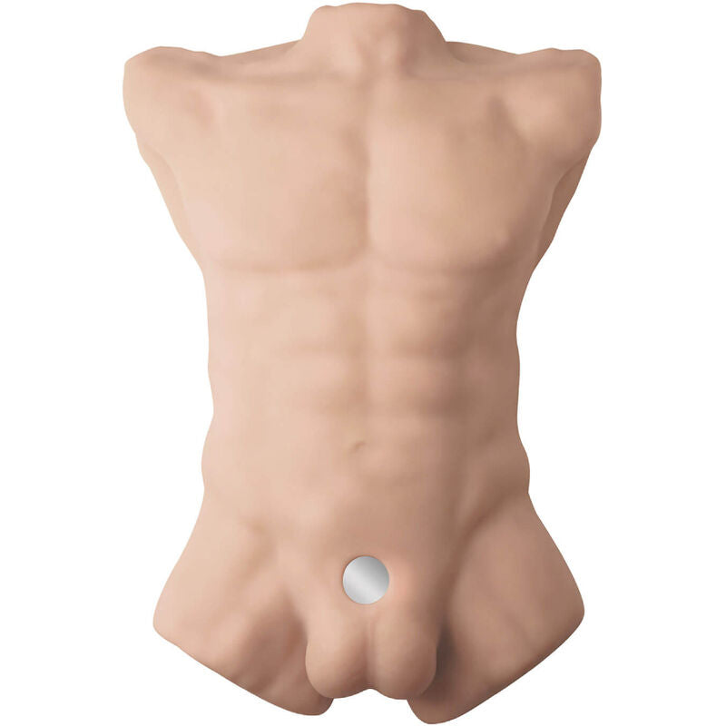 Silexd - apollo l torso realístico masculino