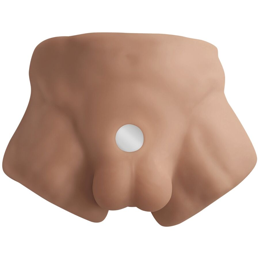 Silexd - apollo s torso bajo realístico masculino caramelo
